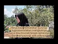 Download Lagu NADHOM AKHLAQ INDONESIA | SMP IT AL MASHDUQIYAH BANDUNG
