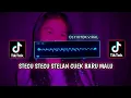 Download Lagu DJ STECU STECU STELAN CUEK BARU MALU || DJ TIKTOK VIRAL TERBARU 2025