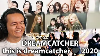 dreamcatcher this is dreamcatcher 2020 by insomnicsy reaction
