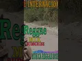 Lagu Lagu Reggae Internacional⚡ Reggae do maranhão Remix ⚡ Reggae O Melhor 2023