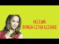 Download Lagu Bunga Citra Lestari - Kecewa (Lirik Lagu)