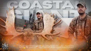 Coastal GIANT (Moose Hunting The Coast of Newfoundland) | Canada in the Rough