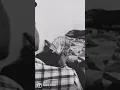 Download Lagu tumne jo dekha hai socha hai smjha hai jana hai 😈😈