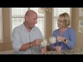 Ed s Role in the Company and Tara s perspective on his influence on the brand