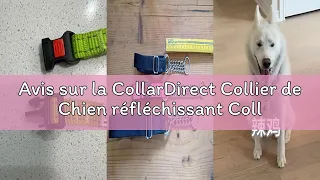 Avis sur la CollarDirect Collier de Chien reflechissant Colliers Martingale Boucle a degagement late