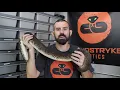 BALL PYTHON SPOTLIGHT - STERLING