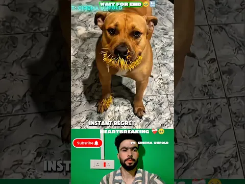 Dog Sad moment 💔😭 #sad​ #emotional​ #sadstatus​ #shortsvideo