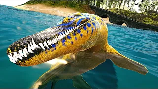 Life Of An APEX PREDATOR In The OCEAN Beasts Of Bermuda