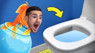 יום בחייו של דג  יום בחייו של דג