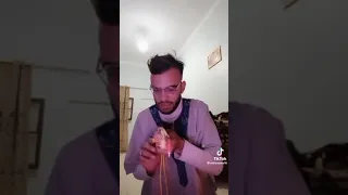 أضحك حاتان تشبع                           ههههههههههههههههههههههههههههههههههههههههههههه دندنها