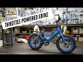 PEDEGO ELEMENT The EBIKE you want for every day