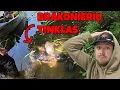 Download Lagu Šokiruojantis Radinys Tvenkinyje + Karpių Nerštas Iš Drono