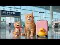 Download Lagu Ginger’s First Flight ✈️ To See Papa With Mama Cat in China!