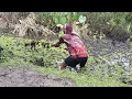 Lagu Luar Biasa || Sebesar Apa Coba Monster Nya Ini Sampai Joran Ku Di Bawa Kabur