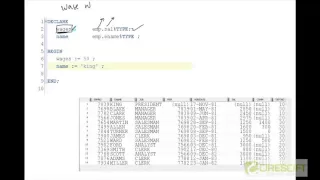 PLS-4 Variables