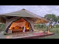 Download Lagu Saruni Wild, Masai Mara