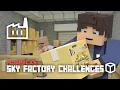 How to Setup and Play an FTB SkyFactory Challenges Server in Minecraft