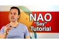 Aldebaran NAO Tutorial 1 Say