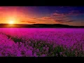 Download Lagu Relaxing Music For Emotional Healing \u0026 Detachment from Negativity | Boost Happiness \u0026 Inner Peace