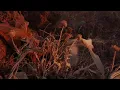 Overmono - So U Kno