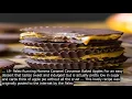 Paleo running momma desserts recipe by paleo running momma okay so lets start off wi