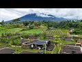 Lagu Camping Keluarga di BUNGAS CAMP AND COFFEE | Cianjur, Jawa Barat | 인도네시아 캠핑 