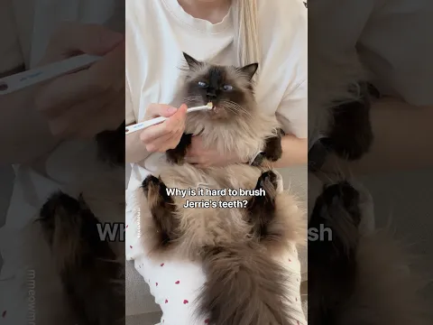 at least she’s VERY happy when I brush her teeth 🥴😂 can’t complain 😂