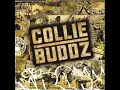 Collie buddz - come around