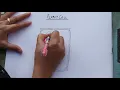 Plant cell diagram
