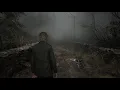 Download Lagu Relaxing Silent Hill Music