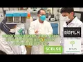 Microorganisms That Help Clean Up Polluted Soils Bioremediation