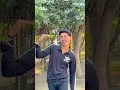 Download Lagu Tola bhawar parana he //#new #dance #shorts #trending #harinayak