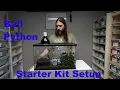 Ball Python Starter Kit Setup for Beginners