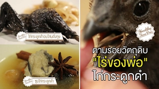 การเตรียมไก่ดำก่อนอบควรทำอย่างไรเพื่อให้ได้ผลดีที่สุด