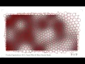 Packing Algorithms in Rhino Grasshopper