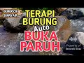 AUTO GACOR‼️ 1 Jam Suara Gemericik Air Bikin Semua Burung Buka Paruh, Terapi Stres \u0026 Macet Bunyi