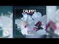Calippo - Into the Beat (Instrumental Mix)