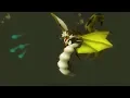 Zulrah RuneLite Tile Marking Showcase READ DESC