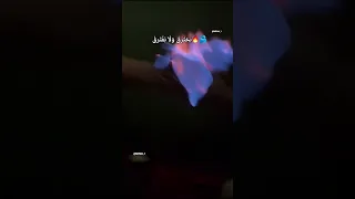 نحترق ولا نفترق اكسبلور جديدي لايك اخيل تصميمي كلجديد ترند 