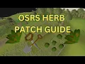 Ultimate Herb Farming Run Guide 2024 OSRS