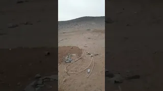 اندوب عبدو ابوحريره 