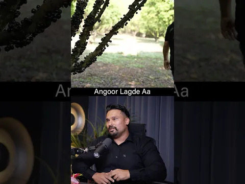 Have you ever heard of jaborticaba, the unique brazilian grape tree? 🍇