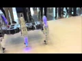 iDAvatars CEO Norrie Daroga attends 2015 Intel Developer Forum