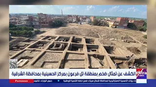 الكشف عن تمثال ضخم بمنطقة تل فرعون بمركز الحسينية بمحافظة الشرقية دندنها