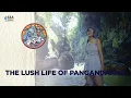 Download Lagu See Indonesia: The Lush Life Of Pangandaran
