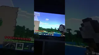 DAY 1 MINECRAFT