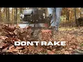 Fall Leaf Cleanup No Rake - Use These Two Things Instead