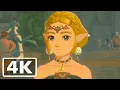 Hyrule Warriors: Age of Imprisonment - All Cutscenes [Full Movie] (4K)