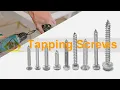 Stainless Steel Self Tapping Screws Full Details