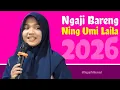 Lagu NING UMI LAILA 2026